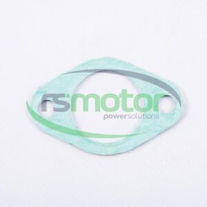 Gasket MWM RS-01151298