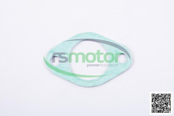 Gasket MWM RS-01151298
