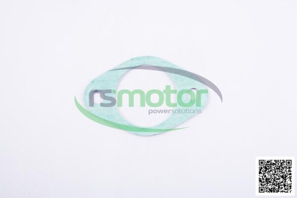 Gasket MWM RS-01151301