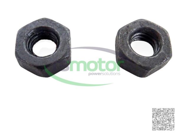 Hexagon Nut MWM RS-01151573