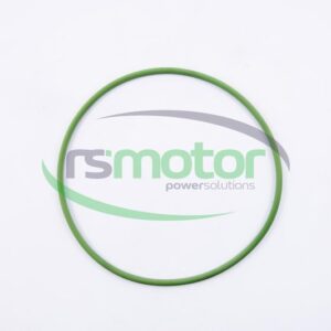 Junta tórica MWM RS-01153807