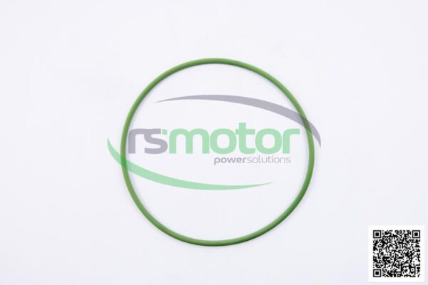 O-seal MWM RS-01153807