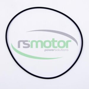 Junta tórica MWM RS-01153814