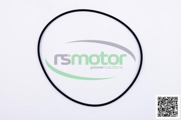 O-seal MWM RS-01153814