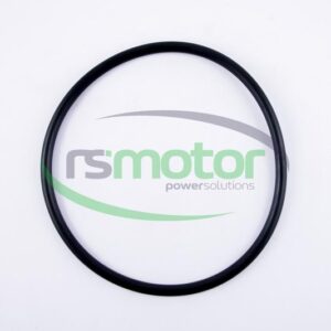 Junta tórica MWM RS-01153818