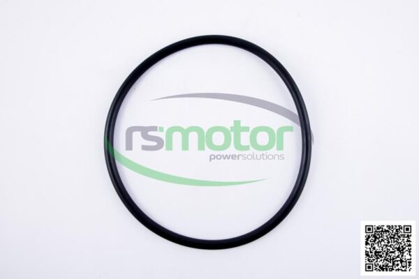 O-seal MWM RS-01153818