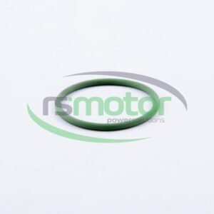 Junta tórica MWM RS-01153829