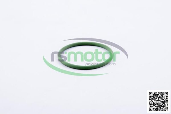O-seal MWM RS-01153829