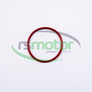 Junta tórica MWM RS-01153832