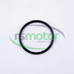 Junta tórica MWM RS-01153835