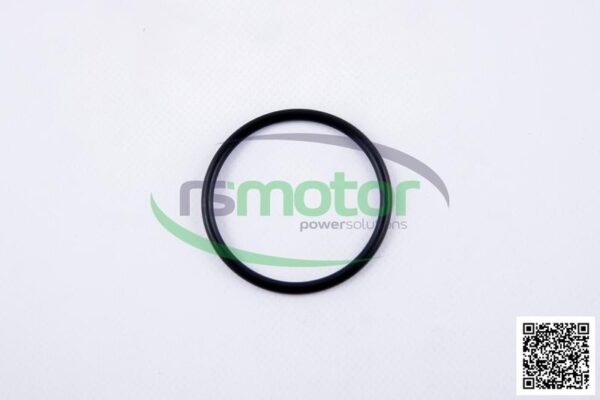 O-seal MWM RS-01153835