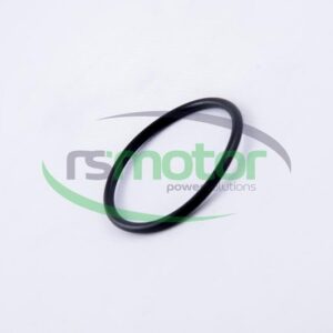 Junta tórica MWM RS-01153838