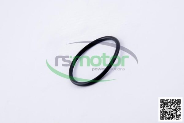 O-seal MWM RS-01153838