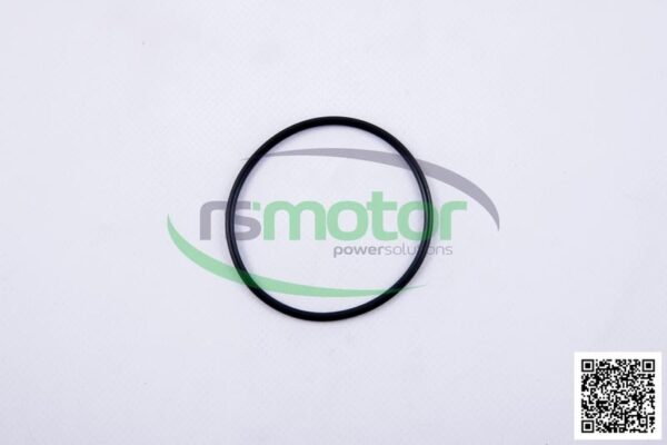 O-seal MWM RS-01153843
