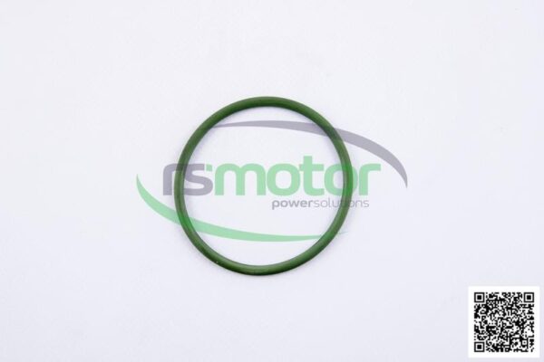 O-seal MWM RS-01153844