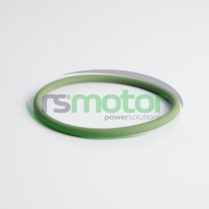 Junta tórica MWM RS-01153845