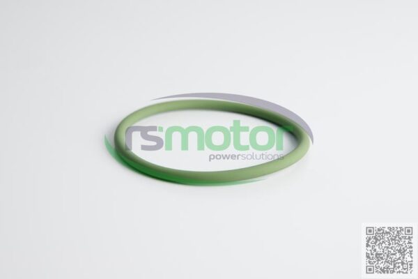 O-seal MWM RS-01153845