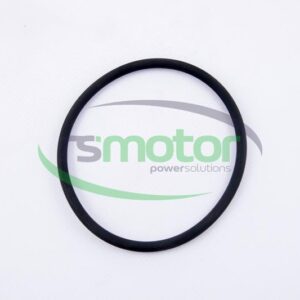 Junta tórica MWM RS-01153851