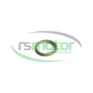 Junta tórica MWM RS-01153857