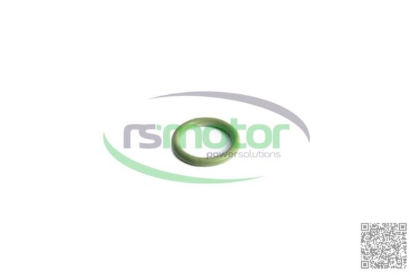 Junta tórica MWM RS-01153857