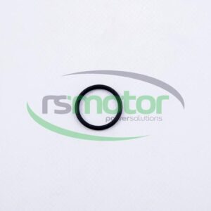 Junta tórica MWM RS-01153869