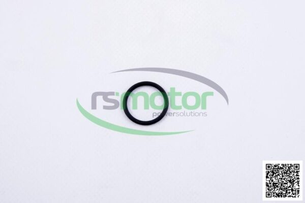 O-seal MWM RS-01153869