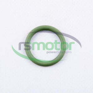 Junta tórica MWM RS-01153874