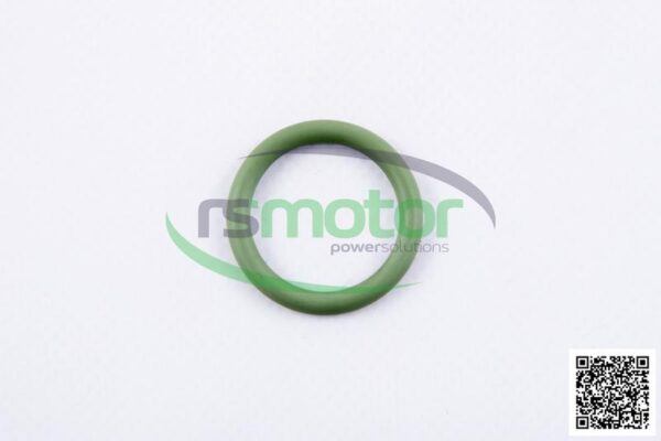 O-seal MWM RS-01153874