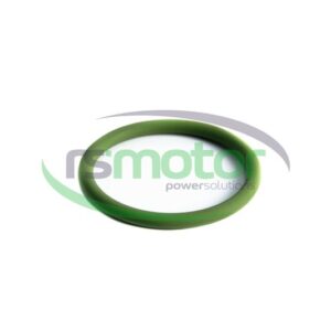 Junta tórica MWM RS-01153878