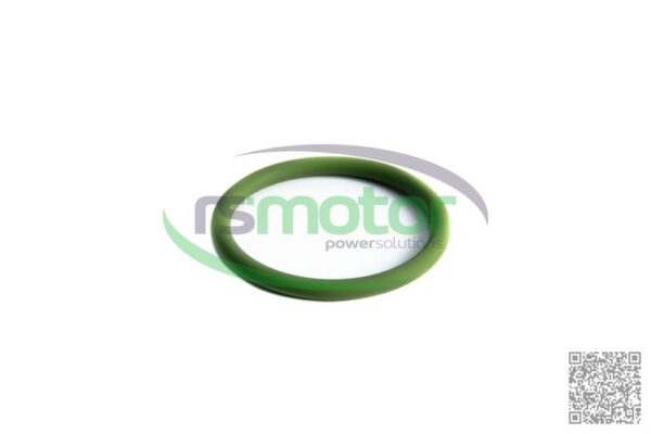 O-seal MWM RS-01153878