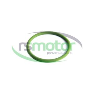 Junta tórica MWM RS-01153884