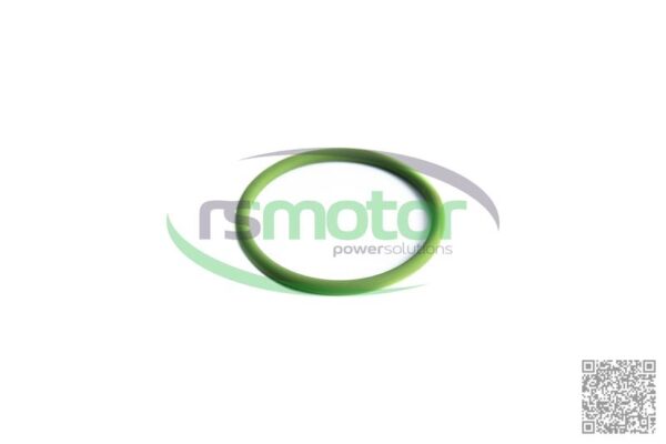 O-seal MWM RS-01153884