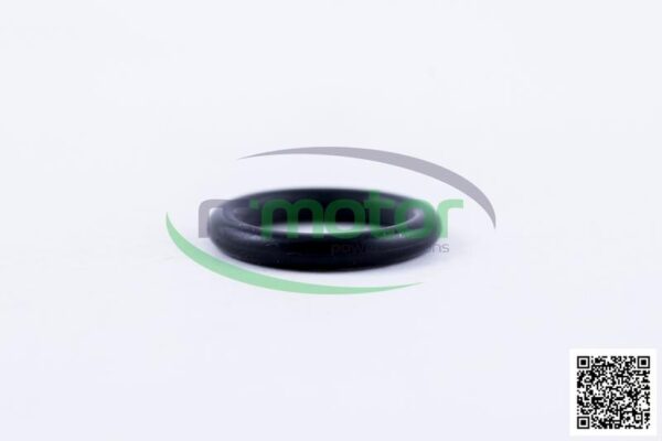 O-seal MWM RS-01153907