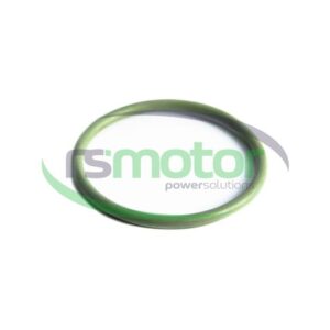 Junta tórica MWM RS-01153923