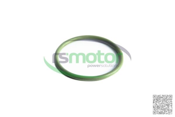 O-seal MWM RS-01153923