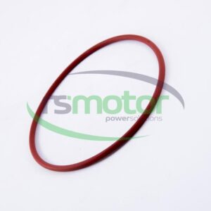 Junta tórica MWM RS-01153944
