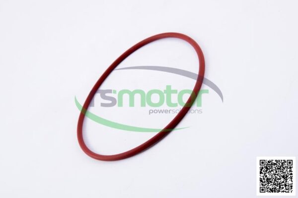 O-seal MWM RS-01153944