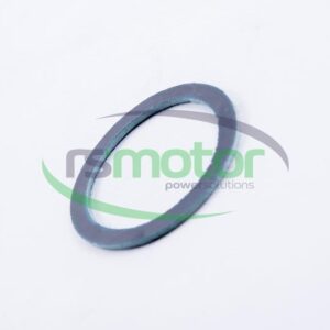 Sealing Ring MWM RS-01157671