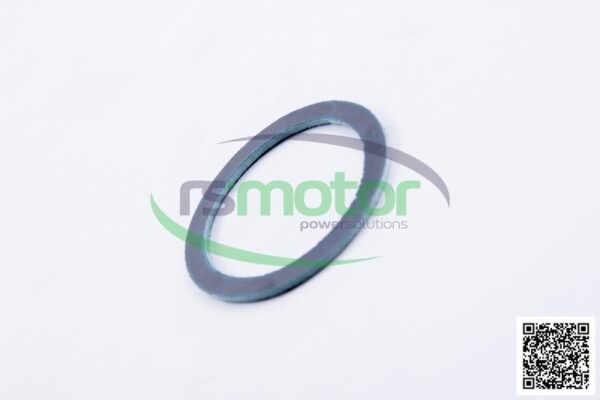 Sealing Ring MWM RS-01157671