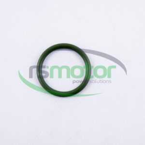 Junta tórica MWM RS-01160615