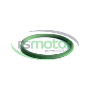 Junta tórica MWM RS-01160620