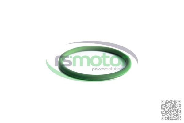 O-seal MWM RS-01160620