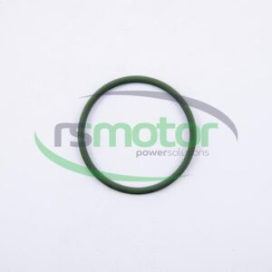 Junta tórica MWM RS-01160622