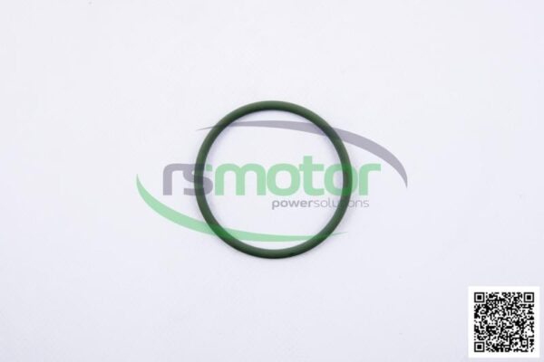 O-Seal MWM RS-01160622