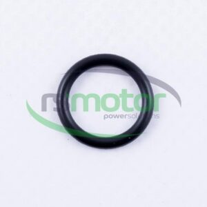 Junta tórica MWM RS-01162906