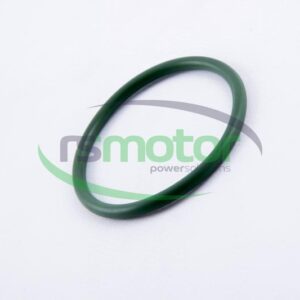 Junta tórica MWM RS-01163400