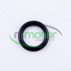 Junta tórica MWM RS-01163590