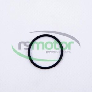 Junta Tórica MWM RS-01164136