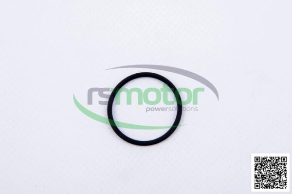 Round Sealing Ring MWM RS-01164136