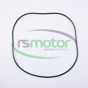 Junta tórica MWM RS-01164515